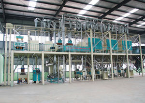Molino de <span class=keywords><strong>Harina</strong></span> de Maíz con Planta de Empaque en Uganda, Máquinas Industriales para Molienda de Maíz - Product Image 4