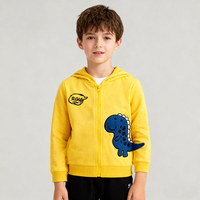 Sweat à capuche tendance pour garçons, motif de dinosaure, sweat à capuche mignon, sweat-shirt décontracté personnalisé, veste zippée pour enfants, printemps automne
