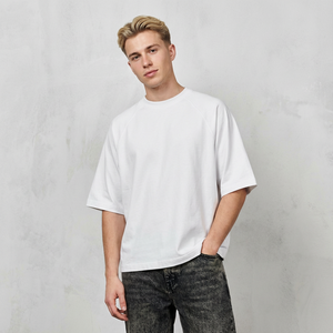 T-shirt décontracté pour homme en coton 260 g/m², col rond, logo brodé personnalisé, coupe ample, style streetwear, coupe courte et oversize - Product Image 6