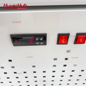 Vitrine Réfrigérée Commerciale Personnalisée pour Fleurs à Haute Humidité – <span class=keywords><strong>Réfrigérateur</strong></span> en Verre pour Fleuriste avec Refroidissement par Air - Product Image 6