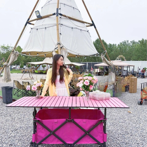 Carrito Plegable Multicolor YX-F1-48 para Exteriores con Ruedas Todoterreno y Toldo Ampliado para <span class=keywords><strong>Camping</strong></span> y Mercado Nocturno - Product Image 4