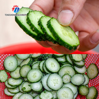Kleine Soort Fruit Bladgroenten Groente Lente Ui Groene Peper Slicer Cutter Dicer Versnipperen Snijden Dicing Snijmachine (TS-Q30)