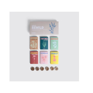 Kit de sac de graines de jardin d'intérieur haute performance Kit de fleurs sauvages avec pollinisateurs d'herbes de fleurs indigènes pour l'espace extérieur - Product Image 5