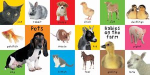 Stampa con copertina rigida personalizzata Baby vedere e sentire libri educativi per bambini <span class=keywords><strong>libro</strong></span> <span class=keywords><strong>di</strong></span> cartone per bambini - Product Image 3