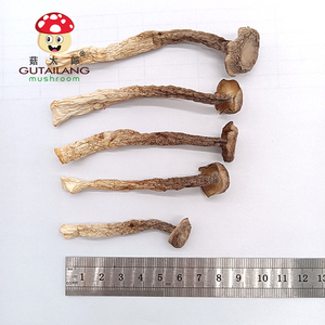 เขากวางทำจากกำมะหยี่อบแห้งเห็ดเขากวางแบบธรรมชาติ - Product Image 5