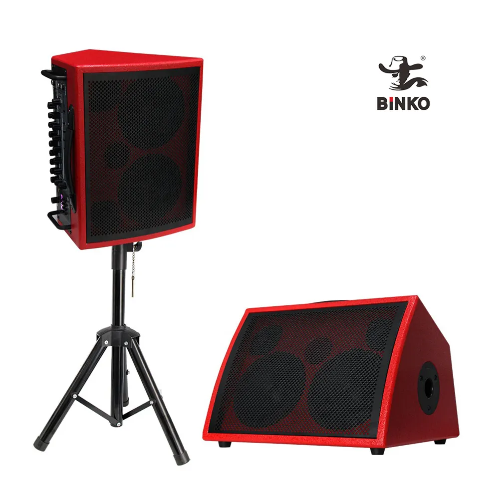 Equipo de sonido de escenario profesional Karaoke guitarra altavoz amplificador Pa altavoz inalámbrico altavoz portátil madera activo RGB