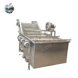 Bubbles clean vegetables and fruit washing machines cleaned vegetable processing machine price