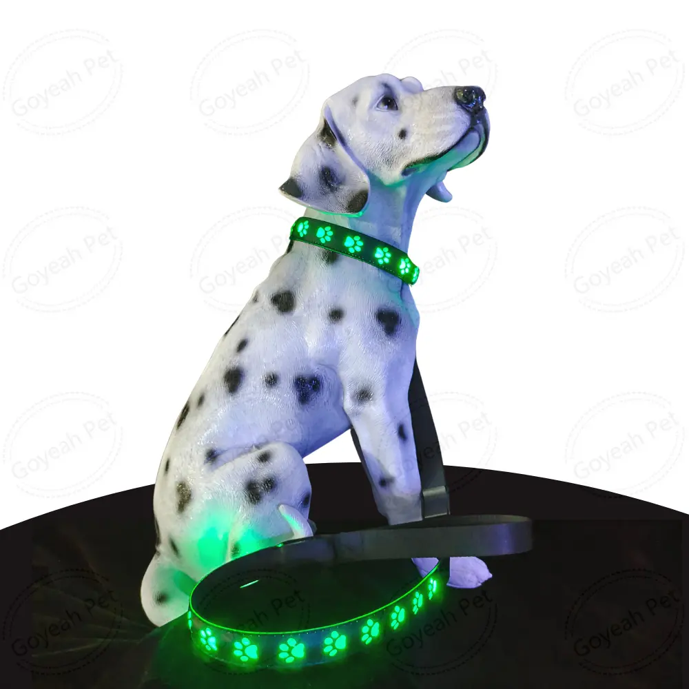 Premium Leather LED Dog Collar Leash Flashing Dog Night Safety Collar Leash Set