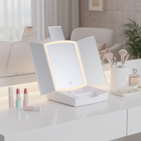 Trois couleurs au choix, miroir de maquillage miniature pliable à LED avec boîte de rangement pour le maquillage