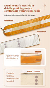 ตัวป้องกันเสียง DC 12V แบบสมาร์ท ป้องกันความร้อนห้าระดับ - Product Image 5