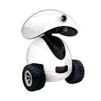 Moniteur pour animaux de compagnie certifié chien intelligent jouet de luxe dessin animé réaliste automatique Vision nocturne Robot fonction écologique en plastique métal