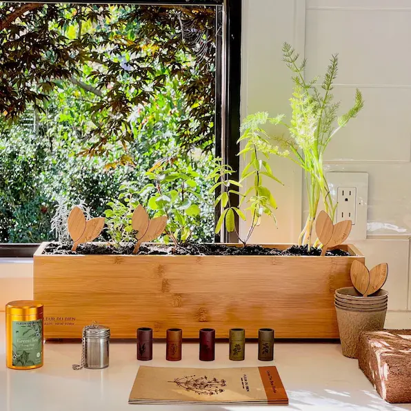 再利用可能な木製ボックス植栽ハーブキット米国認定オーガニック屋内ハーブガーデン肥料プランターキット