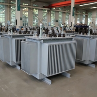 Transformateur immergé dans l'huile 630 kVA 10 kV S13 triphasé abaisseur de tension 10000 V à 400 V pour distribution extérieure