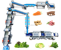 Vbjx Aardappel Kool Salade Tomaat Reinigingsmachine Plantaardige Luchtbel Wasmachine Fruit Wasmachine Met Transportband Lijn Prijs