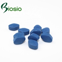 Pabrik GMP suplemen kesehatan Blueberry Lutein ekstrak bubuk Tablet permen