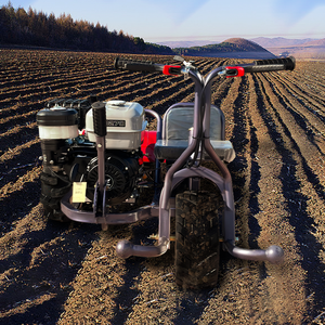 Micro Cultivateurs Philippines Italie Ferme 3 Roues Ride Type 9hp Essence Essence Moteur Puissance <span class=keywords><strong>Mini</strong></span> Ride on Tiller - Product Image 3