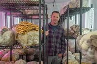 Ferme Intérieure Proposant un Ensemble Complet de Conteneurs de Culture de Champignons, Systèmes Hydroponiques et Équipements d'Usine Verticale
