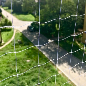 HDPE Noeud Nylon Transparent Balcon Pet <span class=keywords><strong>Chat</strong></span> Chien Sécurité Protection Rail Net Balcon <span class=keywords><strong>Anti</strong></span> <span class=keywords><strong>Chute</strong></span> Clôture Net - Product Image 3