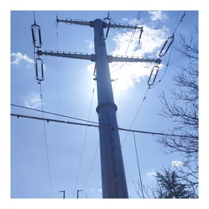 Best Hot Dip Galvanized Electric Telescopic Pole Concrete Electric Poles From China