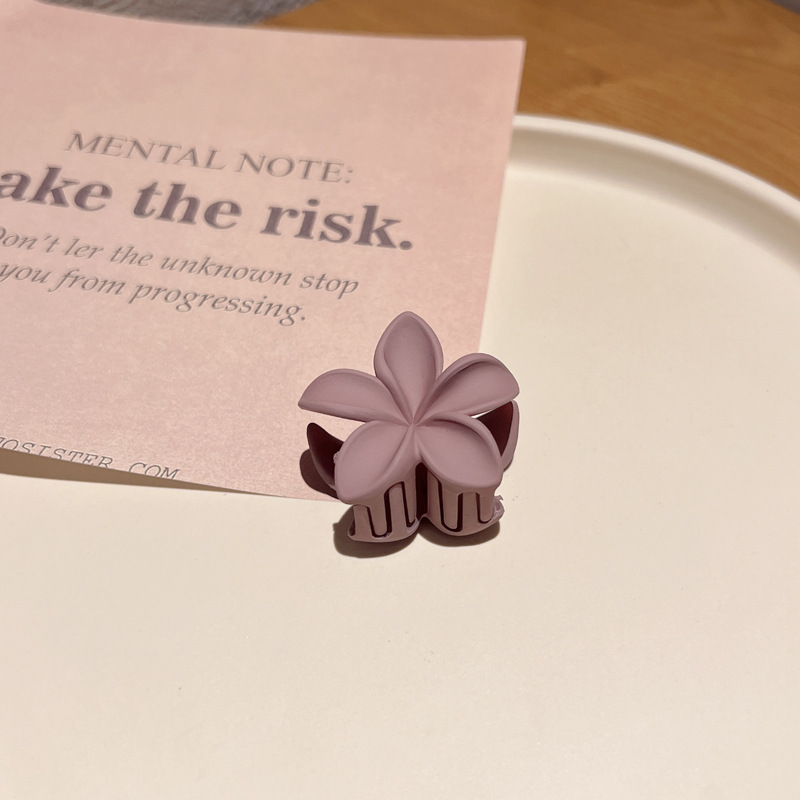 gris violeta