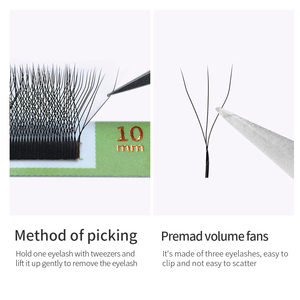 GLAMLASH Etiqueta privada personalizada Extensión de pestañas Ventilador prefabricado Pestañas de trébol 3D suaves naturales Extensiones de pestañas en forma de W - Product Image 3