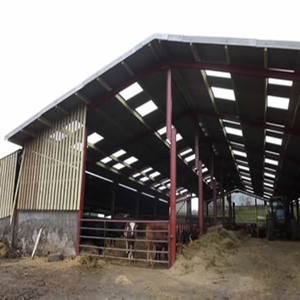 Structure en acier préfabriquée pour hangar à vaches, ossature portique, installation rapide, pour élevage de bovins - Product Image 2