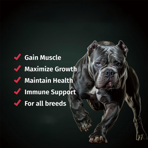 Suplemento Masticable de Alta Proteína para Ganancia de Peso y Desarrollo Muscular para Perros Grandes y Adultos, Marca OEM - Product Image 5