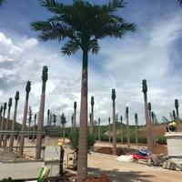 Pohon Kelapa Canary Buatan dari Fiberglass yang Dapat Disesuaikan Tingginya 3-8m - Tahan UV Ramah Lingkungan Tahan Lama Berkualitas Tinggi