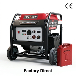 โรงงานผลิตเครื่องเชื่อมแก๊สแบบเงียบ OEM ODM กำลังไฟ 5.5KW กระแสไฟ 20-300A สตาร์ทแบบแมนนวล สำหรับใช้งานในอุตสาหกรรม รุ่น HS6900-300A *แบบพกพา - Product Image 1