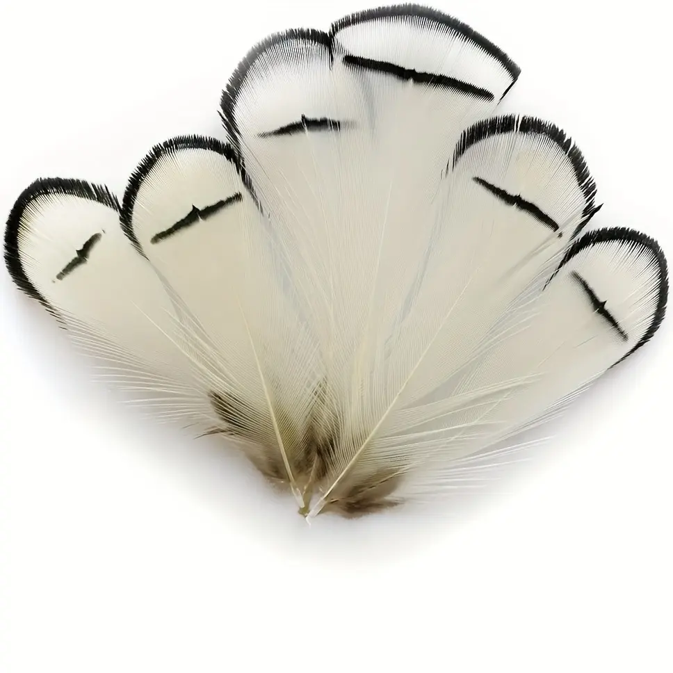 Plumes naturelles blanches Lady Amherst Pheasant Tippet, 5-7cm Plumes naturelles pour décorations de mariage