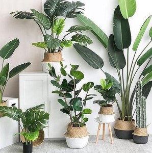 Cesta de Mimbre Bohemia Personalizada, Hecha a Mano, para Plantas de Interior, Maceta Decorativa, Contenedor de Almacenamiento, Precio de Fábrica - Product Image 3