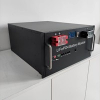 Smsenergy Fabricants de Batteries Lithium-Ion 48V 51.2V Batterie Solaire 100Ah 200Ah 300Ah Boîtier de Batterie LiFePO4 pour Tout Client
