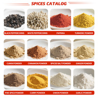 Mélange d'épices : Poivre noir, gingembre, cinq épices, cannelle, piment, ail, curcuma, oignon en poudre