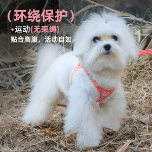 Pet Harness Reflective Polyester Small Dogs Adjustable Buckle Fit Comfortable Walks - Product Image 1