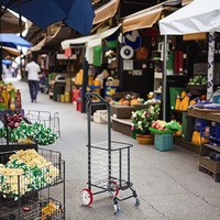 Chine Vente en gros Aluminium Pliable Mart Shopping Légumes Chariot Mobile Pliant Shopping Main Chariots pour Personnes Âgées