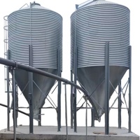 Silo d'alimentation automatique en acier inoxydable de petite taille pour ferme avicole de 20 tonnes pour le stockage des aliments