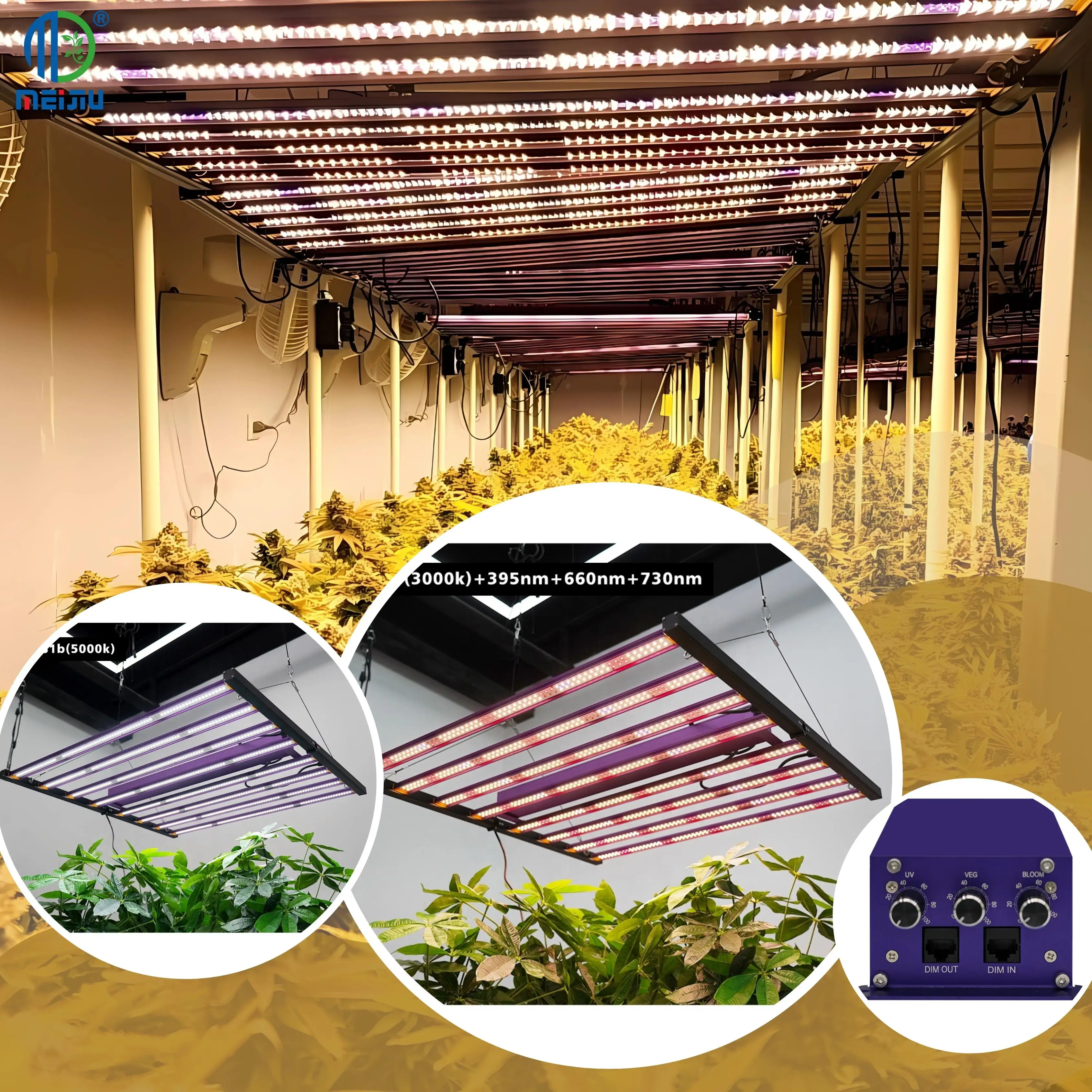 Meijiu ไฟปลูกพืช LED สเปกตรัมเต็มช่องสำหรับพืชในร่ม, Lm281B Lm301h ซัมซุง700W 1000W 1400W สีแดง UV IR
