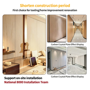 Pannello Murale Moderno in Cristallo <span class=keywords><strong>di</strong></span> Carbonio per Appartamenti, Installazione Semplice del Pannello in Cristallo <span class=keywords><strong>di</strong></span> Carbonio, Arredamento per la Casa a 0 Formaldeide - Product Image 5