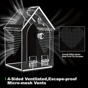 Recinto Transparente de Acrílico para Insectos, Hábitat Sellado e Impermeable para Reptiles e Invertebrados - Product Image 2