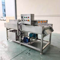 Machine de nettoyage automatique à rouleaux parallèles avec pulvérisation haute pression, idéale pour les lignes de transformation des tomates, légumes et fruits
