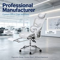 Silla Ejecutiva de Respaldo Alto, Silla de Oficina Ergonómica de Malla Transpirable con Asiento Ajustable, Silla de Oficina de Malla para Proyectos de Oficina