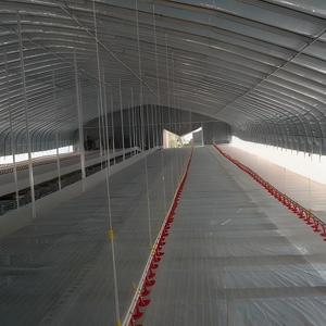 Grande Serra Completamente Chiusa in PVC a Doppio Strato <span class=keywords><strong>per</strong></span> l'Allevamento di Anatre da Carne - Product Image 5