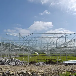 MYXL a basso costo intelligente serra commerciale agricoltura serra struttura in metallo di plastica