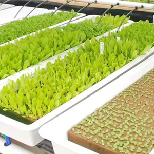 Sementi di Pomodoro per Coltivazione Idroponica in Torre per Serre Agricole Shengding, con Cotone Minerale di Roccia per Semenzai di Verdure Piccole - Product Image 4