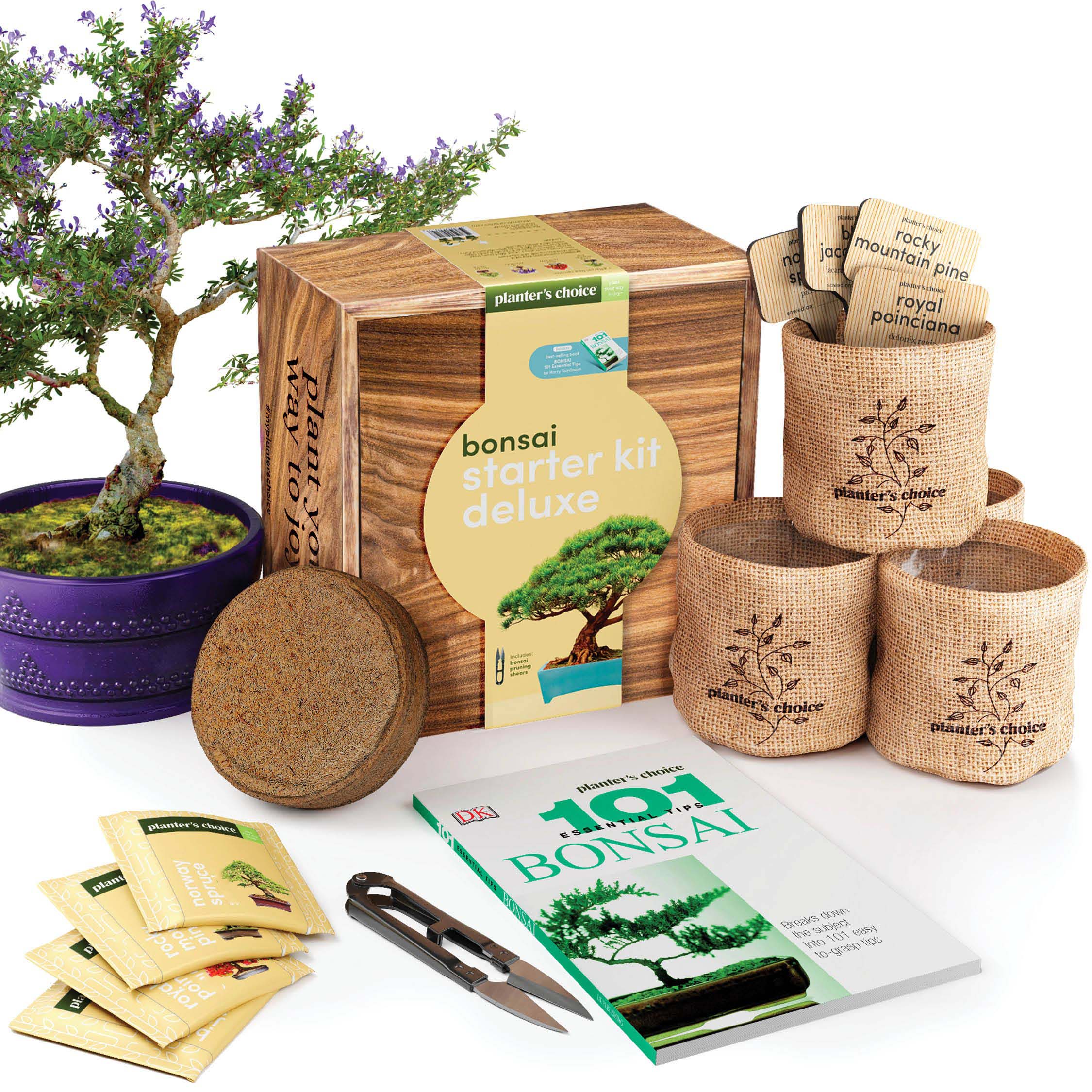 Kit de inicio de árbol bonsái de fabricación con certificado ISO, producto de jardín con herramientas de metal y madera para decoración al aire libre