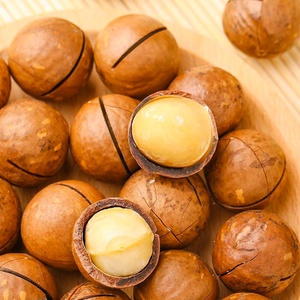 Vente en gros professionnelle 500g noix de <span class=keywords><strong>macadamia</strong></span> sèches crues <span class=keywords><strong>macadamia</strong></span> <span class=keywords><strong>macadamia</strong></span> grillées <span class=keywords><strong>macadamia</strong></span> salée - Product Image 2