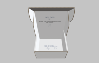 Boîte cadeau en carton avec logo personnalisé, emballage pour envoi postal, fermeture magnétique
