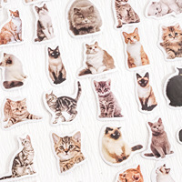 Paquete de 45 Pegatinas de Papel con Diseño de Gatitos para Selfies, Lindas Pegatinas de Gatos de Dibujos Animados para Decorar Cuadernos, Fundas de Teléfono y Más
