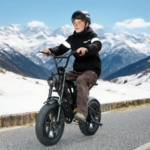 Motocicleta Todoterreno Hidoes B6 Mini, Pit Bike para Niños - Product Image 1