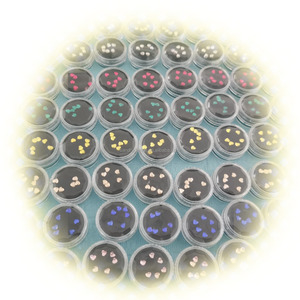 Kit de Pierres Dentaires à Prix Imbattable – Le Meilleur Choix pour Débutants et Entraînement - Product Image 5